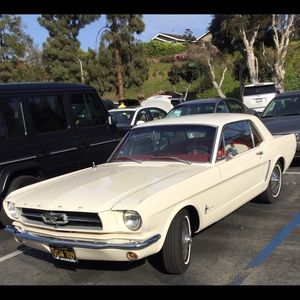 Meet your Posher, Marco